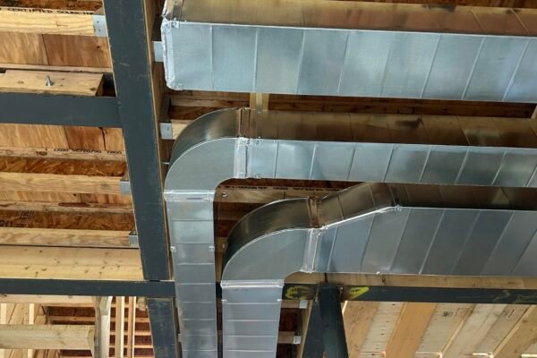 IMG_1282 (2) IMG_1282 (2)